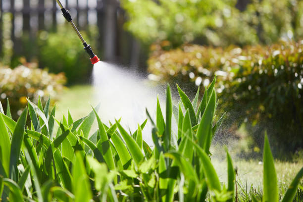 24/7 Emergency Fumigation Services experts in Williamston, SC